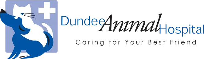 Dundee Vet Clinic brand mark