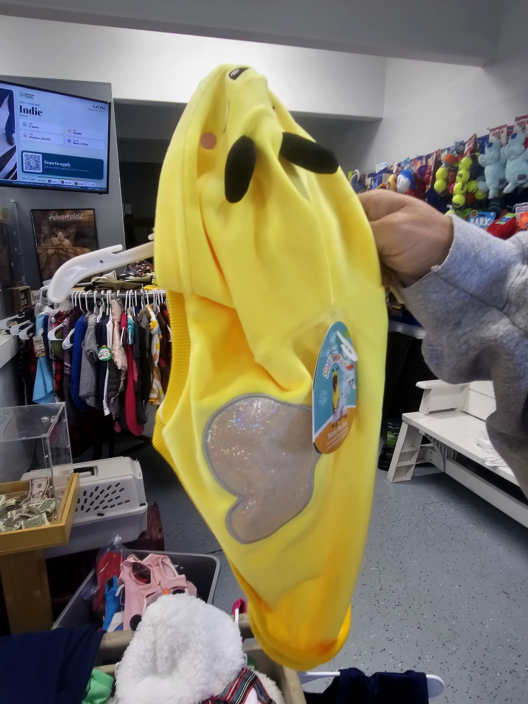 Pikachu costume for dogs