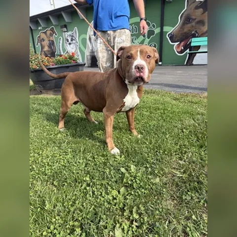 Rudy
