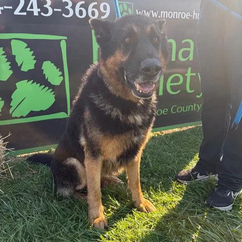 Zeus